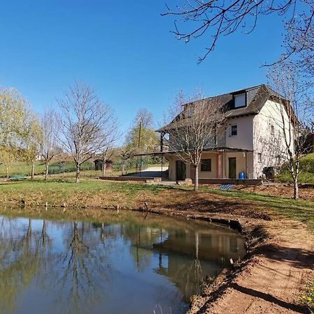 Saint-Côme-dʼOltMaison De Campagne Avec Lac Prive别墅 外观 照片